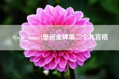甘孜奥运金牌第二个九宫格
