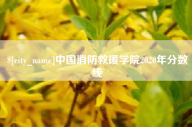 甘孜中国消防救援学院2020年分数线