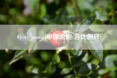 甘孜中国地图(含比例尺)