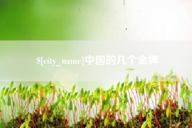 甘孜中国的几个金牌