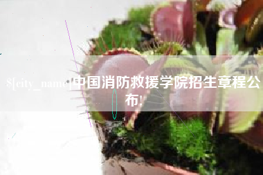 甘孜中国消防救援学院招生章程公布!