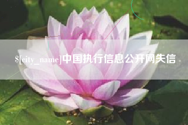 甘孜中国执行信息公开网失信
