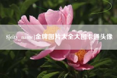 甘孜金牌图片大全大图卡通头像