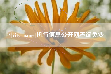 甘孜执行信息公开网查询免费